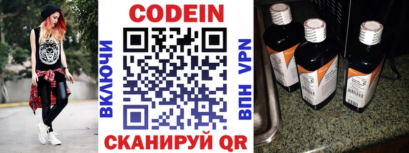 Codein напиток Lean (лин)  купить наркотики цена  Николаевск 