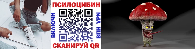 как найти   Николаевск  Псилоцибиновые грибы GOLDEN TEACHER 